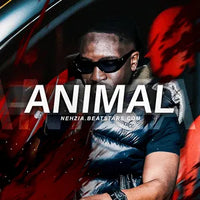 ANIMAL 🦁