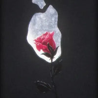 Fleurs du mal 🌹
