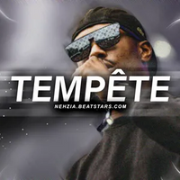 TEMPÊTE ⛈️